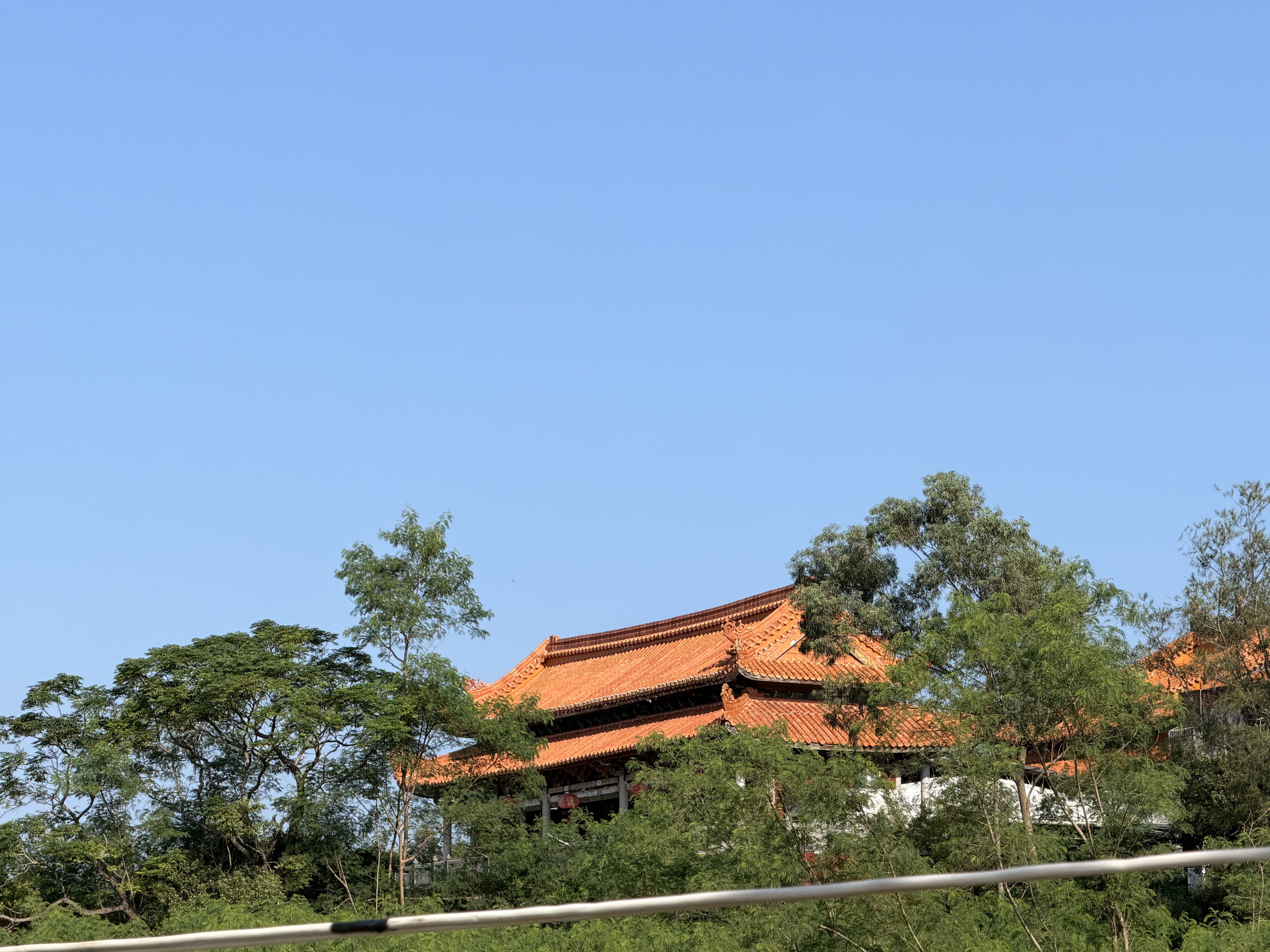 今日安好,便是安好